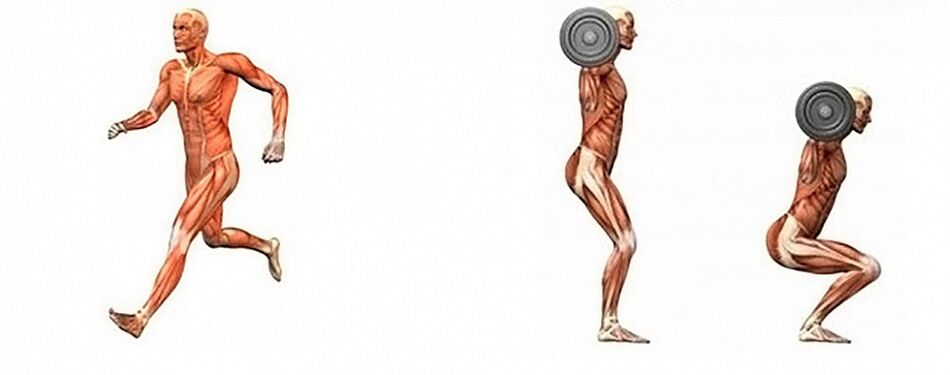 Aérobic et musculation pour perdre du poids
