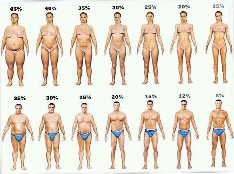 Pourcentage de graisse corporelle et perte de poids avec un régime céto